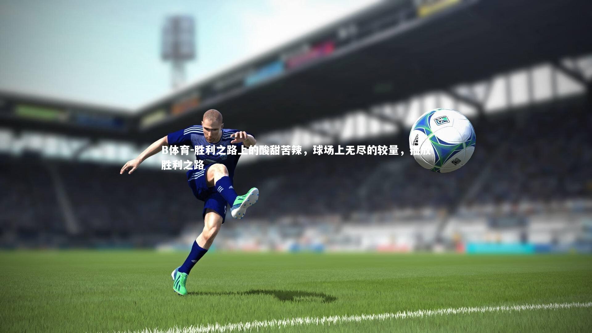 胜利之路上的酸甜苦辣，球场上无尽的较量，播放胜利之路