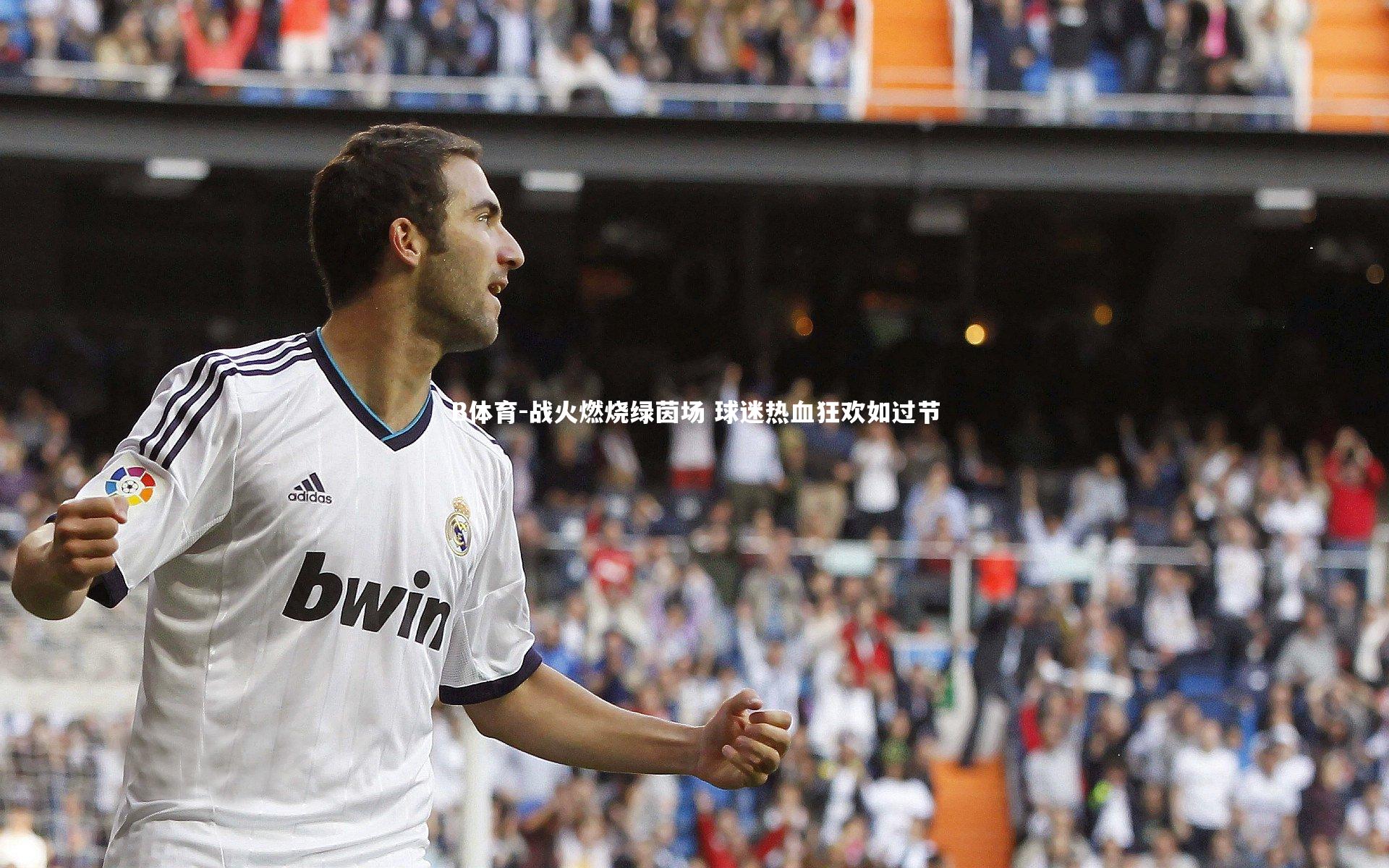 战火燃烧绿茵场 球迷热血狂欢如过节
